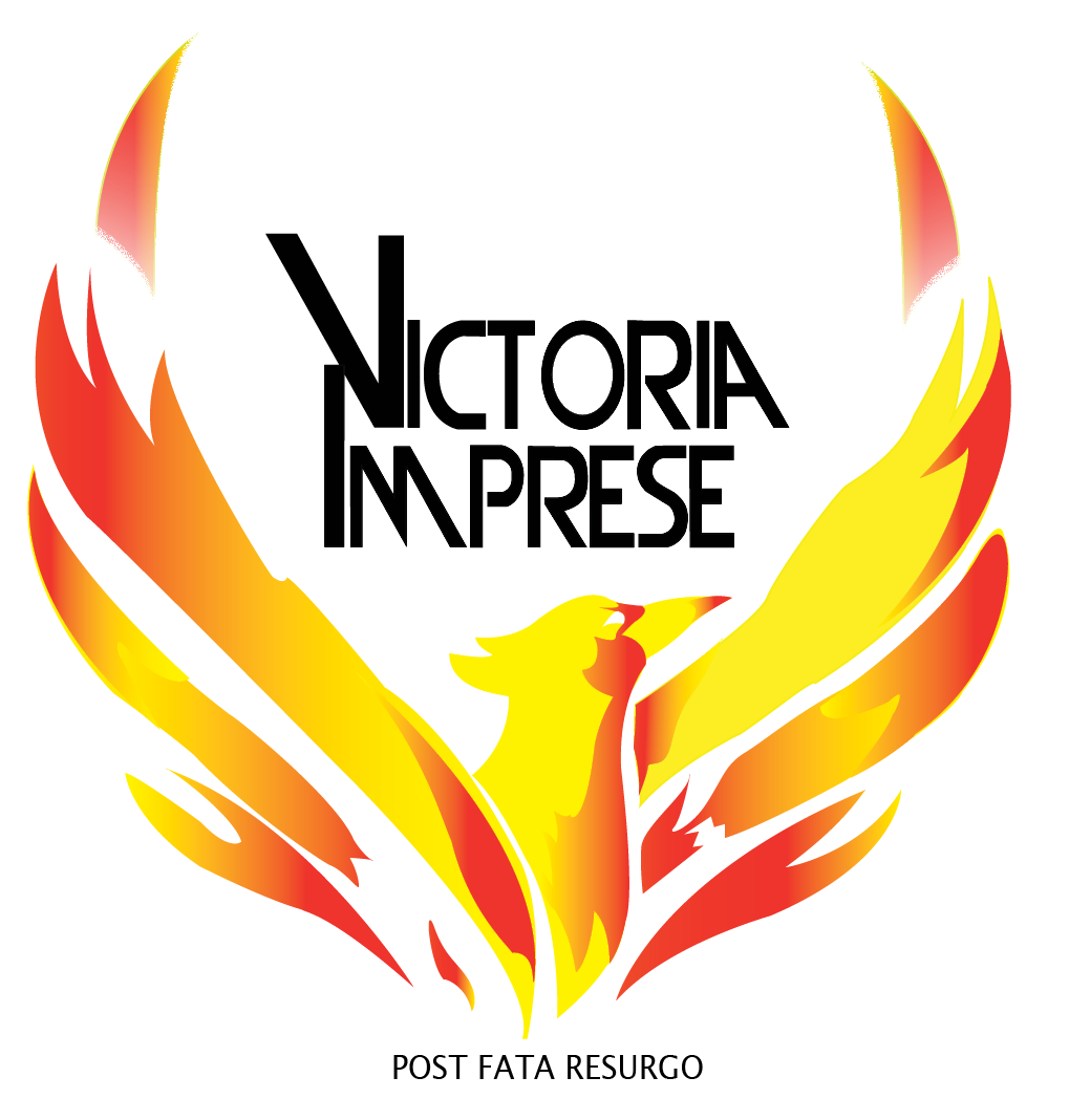Logo Victoria Imprese Ascoli Piceno AP, Società di servizi per PMI